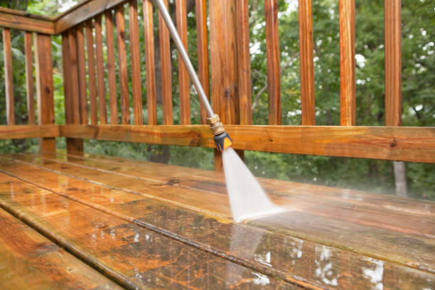 Best Exterior Home Cleaning  in Logan, IA